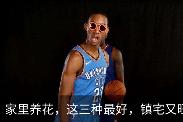 家里养花，这三种最好，镇宅又旺财，家家户户都能养