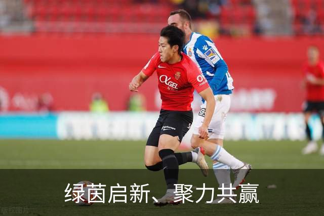 绿茵启新、聚力共赢